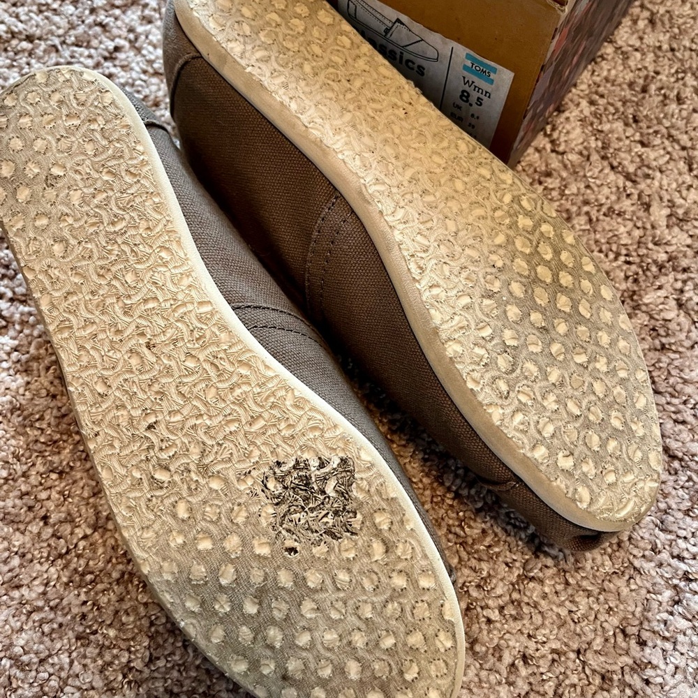 TOMS Ash Canvas Classics - Picture 3 of 3